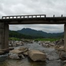 여기조아 이미지