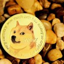 도지(DOGE) 이미지