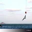 손길낚시