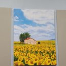 정화중화요리 이미지