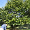 월리농장 이미지