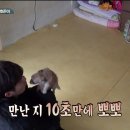 부천24시SKY동물병원