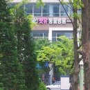 펫유동물병원 이미지