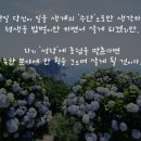 소망희망