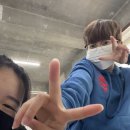 똥꼬의 품격