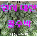 대동농약종묘사 이미지