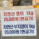 전주가든식당 | 울릉도 저동항 맛집, 오삼불고기가 있는 전주식당 후기