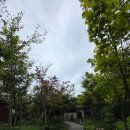 무이림 | 태안 힐링 숙소 추천 | 무이림 제 6객실 선라이즈뷰 숙박 후기