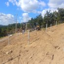 영천 태양광발전소 이미지