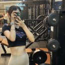 선샤인피티샵 이미지