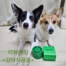 펫컵(pet cup) | (강아지 트리트먼트 추천) 글로시아팩 강아지 트리트먼트 사용 후기