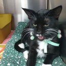 겨울이와여름이 이미지