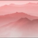 인산죽염광산점 | 인산가 죽염 고추장 매운맛 후기