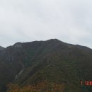 (합)고려레미콘 | 041007 영남알프스