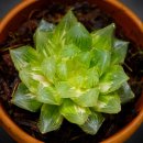 A0504 네이버블로그