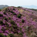 고려산 이미지
