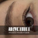 세렌디피티 - 성동구 왕십리로21길 41-6 | 세렌디피티속눈썹 대구중구속눈썹 블랙틴팅펌 후기