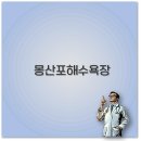 몽산바람팬션 | 몽산포해수욕장 갯벌체험 펜션 맛집 캠핑 물때까지 깔끔 정리