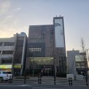 맘존 여성병원 | 배란초음파 받아봄(경주 맘존여성병원), 화학적유산 이후 변화