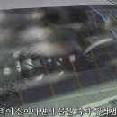 솔모루세차장 이미지