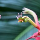 완도수목원 이미지