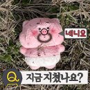 새올컴퓨터 네이버블로그