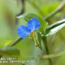 토요일 이미지
