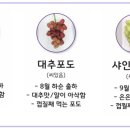 오하포도농원 이미지