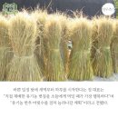 명우농장 이미지