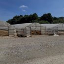 홍성부동산중개사무소 이미지