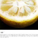 ﻿남해 유자 [Citrus medica ; 약귤] 이미지