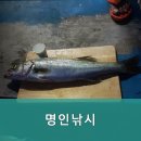 명인낚시