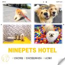 나인페츠 이미지