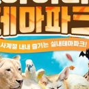 아이니몰 이미지
