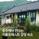 발티산방 | [공지] 충주여행 한옥 숙소 추천 스테이노은 | 서울근교 리틀포레스트 감성 촌캉스 숙소