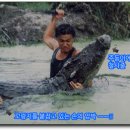 서울 동화 프로덕션 이미지