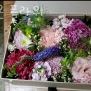 더라온플라워