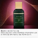 PRIMAIRE | [레 조 프리모디알] 올겨울, 나만의 니치향수를 찾아서 - 레 조 프리모디알 팝업스토어