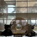 스카이 세탁소 | 강릉 호텔 : 스카이베이호텔 경포 오션뷰 트리플룸 ~ 5성급은 다르네 달라 ~ (사우나도 즐겼다...