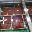 제일새우젓상회 이미지