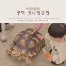 평택 애니멀 클럽 후기 아이와 함께 특별한 동물 교감 체험