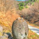 옥산2리 | 경산[시골여행] 용성면 고죽리와 천안전씨 집성촌