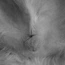 서현동물병원 이미지