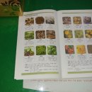 백옥생한방화장품 이미지