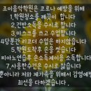 조이음악교습소 이미지