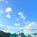 서진청과 이미지