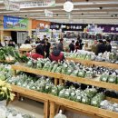 도곡농협로컬푸드직매장 이미지