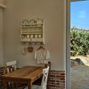 호근서호로 | 서귀포카페 제주에인감귤밭 카페 감귤체험후기