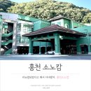 비발디 향기나무 | 소노캄B 비발디파크, 리뉴얼 했다길래 쉬려고 다녀온 후기 소노캄 1박 가격은?