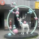 모블링 | 사상역 근처 사상 브라질리언왁싱 방문 후기, 사상왁싱 모블링 속눈썹